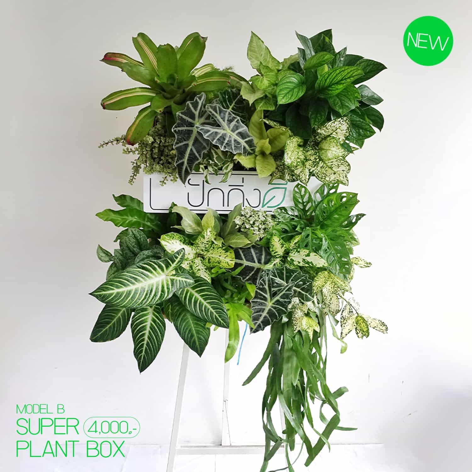 พวงหรีดต้นไม้ : Recycle.in.Peace Paper Box ขาวเขียว