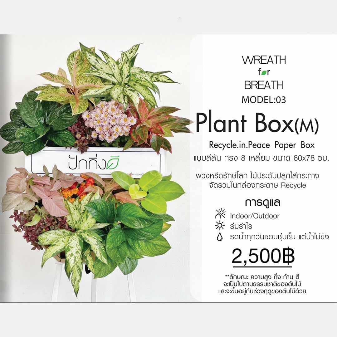 พวงหรีดต้นไม้ : Recycle.in.Peace Paper Box สีสัน