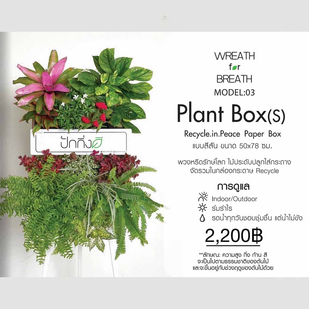พวงหรีดต้นไม้ : Recycle.in.Peace Paper Box สีสัน
