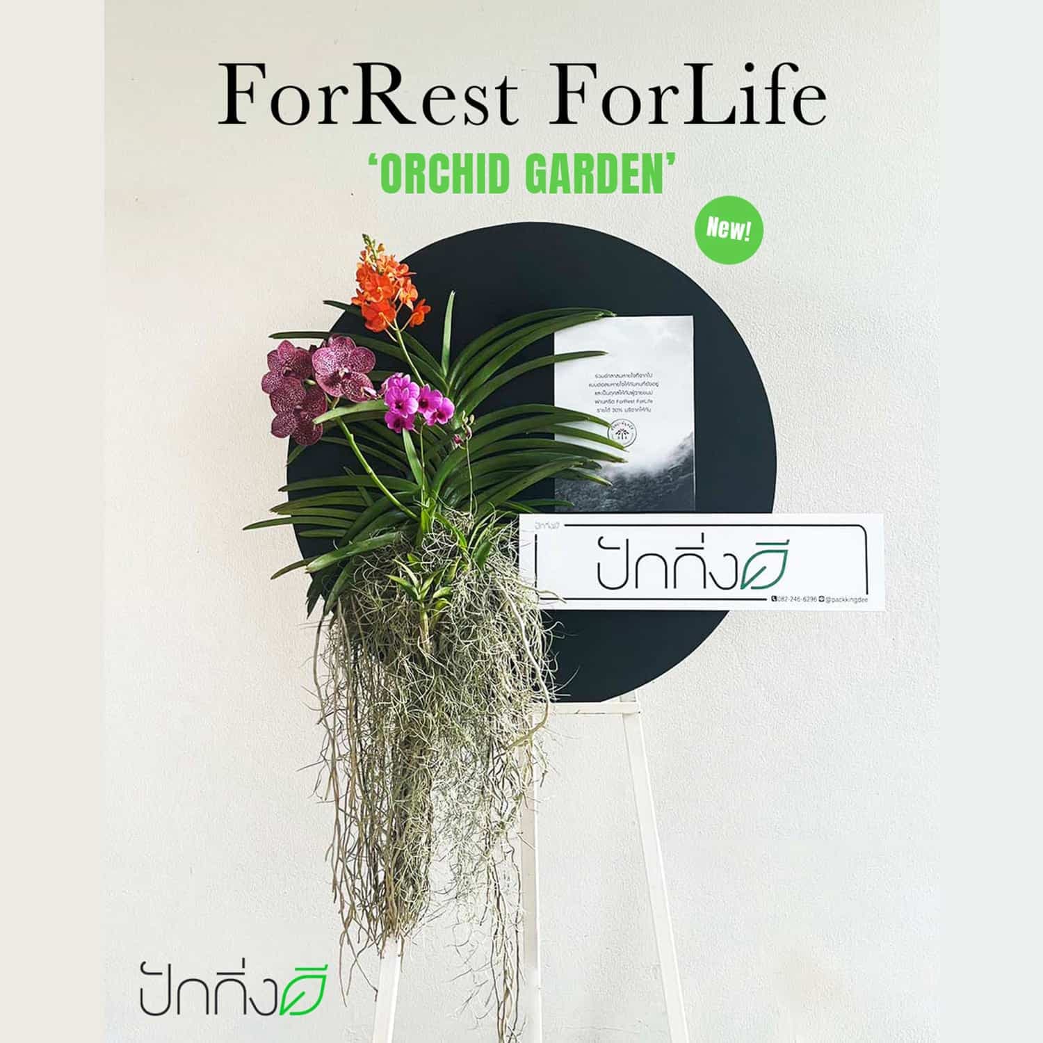 พวงหรีดต้นไม้เพื่อการบริจาค ForRest ForLife : รุ่น Orchid Garden กระดานสีดำ