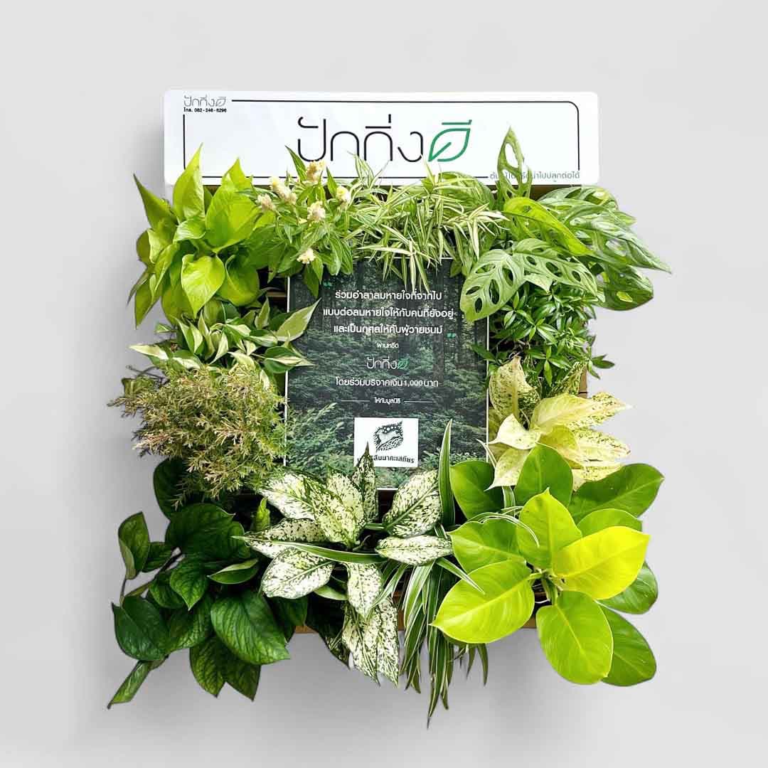พวงหรีดต้นไม้เพื่อการบริจาค ForRest ForLife : Recycle.in.Peace Paper Box บริจาค 1,000 บาท แบบขาวเขียว